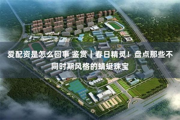 爱配资是怎么回事 鉴赏｜春日精灵！盘点那些不同时期风格的蜻蜓珠宝