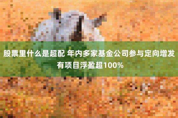 股票里什么是超配 年内多家基金公司参与定向增发 有项目浮盈超100%