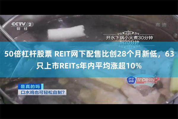 50倍杠杆股票 REIT网下配售比创28个月新低，63只上市REITs年内平均涨超10%