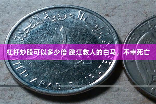 杠杆炒股可以多少倍 跳江救人的白马，不幸死亡