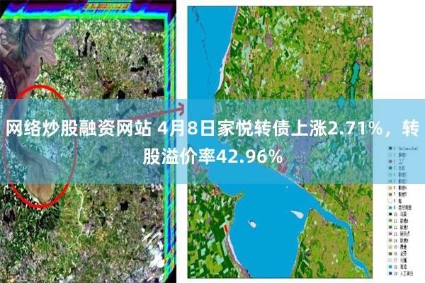 网络炒股融资网站 4月8日家悦转债上涨2.71%，转股溢价率42.96%