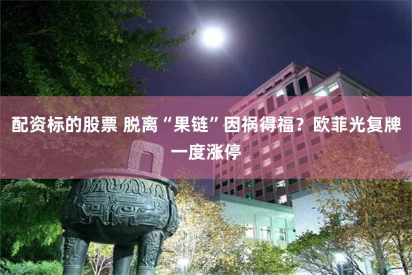 配资标的股票 脱离“果链”因祸得福？欧菲光复牌一度涨停