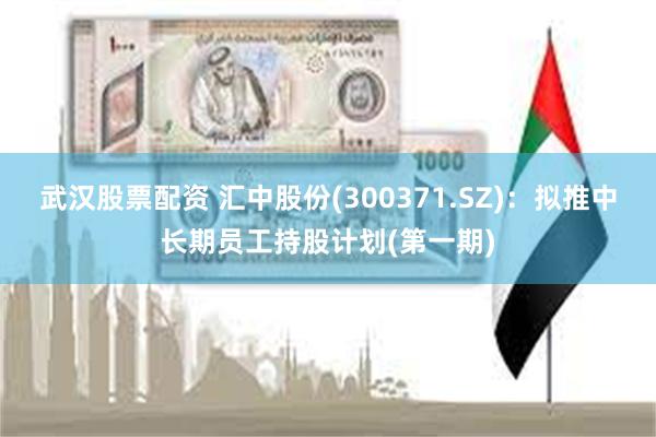 武汉股票配资 汇中股份(300371.SZ)：拟推中长期员工持股计划(第一期)