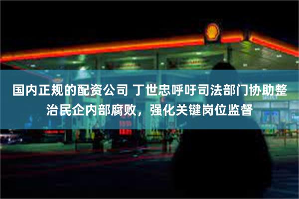 国内正规的配资公司 丁世忠呼吁司法部门协助整治民企内部腐败，强化关键岗位监督