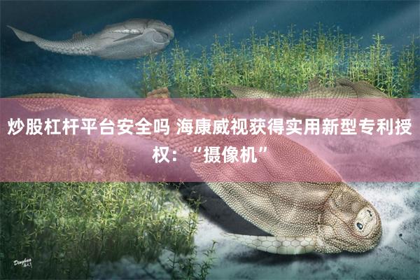 炒股杠杆平台安全吗 海康威视获得实用新型专利授权：“摄像机”