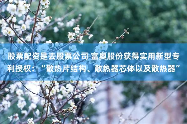 股票配资是去股票公司 富奥股份获得实用新型专利授权：“散热片结构、散热器芯体以及散热器”
