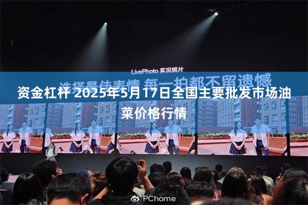 资金杠杆 2025年5月17日全国主要批发市场油菜价格行情
