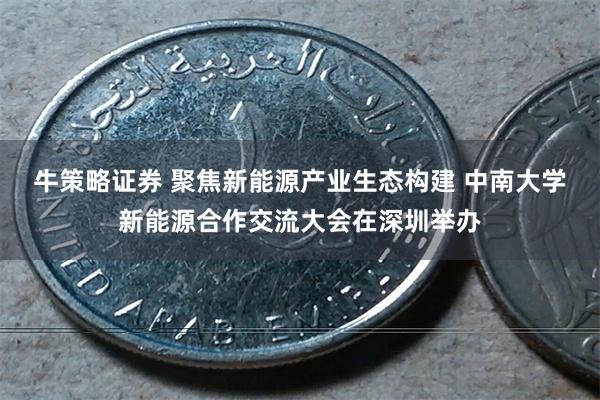 牛策略证券 聚焦新能源产业生态构建 中南大学新能源合作交流大会在深圳举办