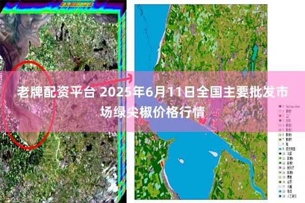 老牌配资平台 2025年6月11日全国主要批发市场绿尖椒价格行情