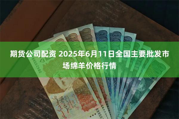 期货公司配资 2025年6月11日全国主要批发市场绵羊价格行情