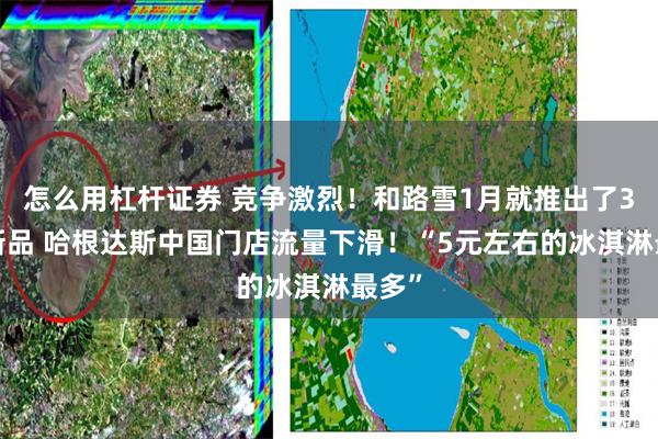 怎么用杠杆证券 竞争激烈！和路雪1月就推出了31款新品 哈根达斯中国门店流量下滑！“5元左右的冰淇淋最多”