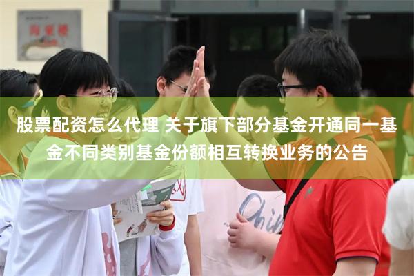 股票配资怎么代理 关于旗下部分基金开通同一基金不同类别基金份额相互转换业务的公告